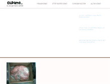 Tablet Screenshot of cuidame.org